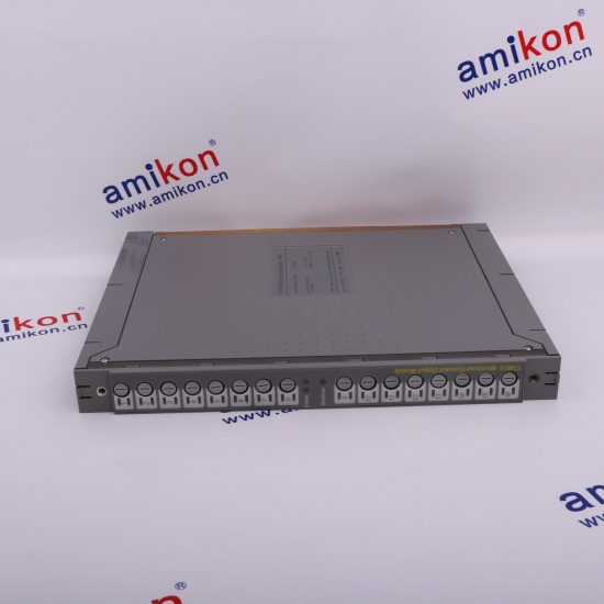 T8100